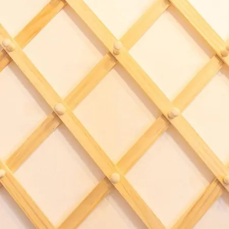 Ganesh Sierra Nevada