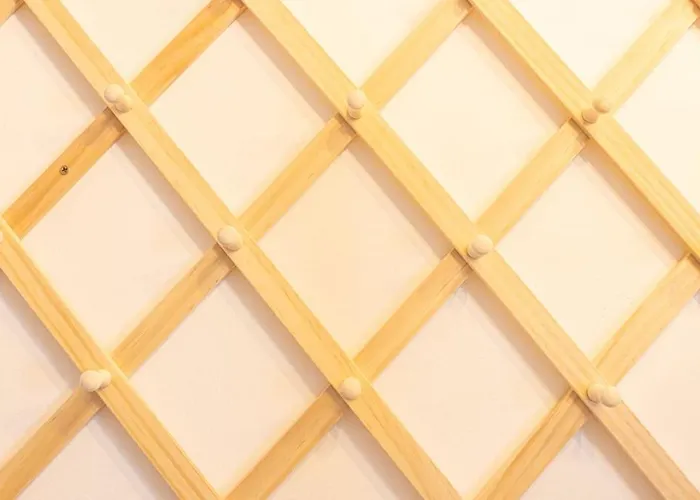 Ganesh Sierra Nevada